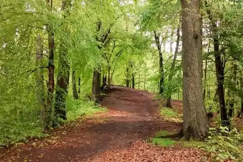 Sextreffen Bergkamen