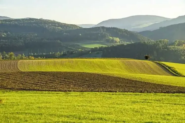 Sie sucht ihn Gummersbach